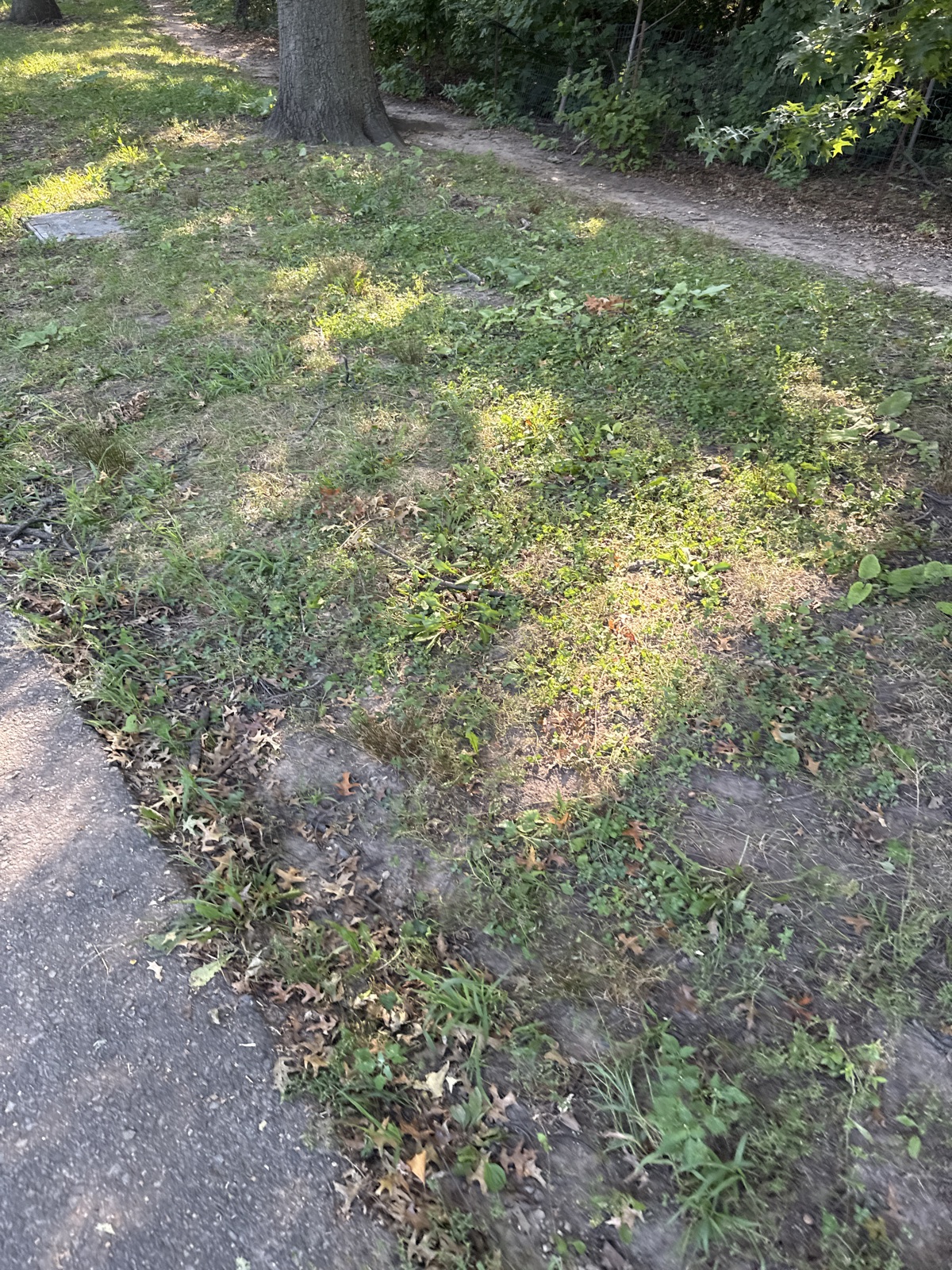 Cleaned by Blue Hat Guy